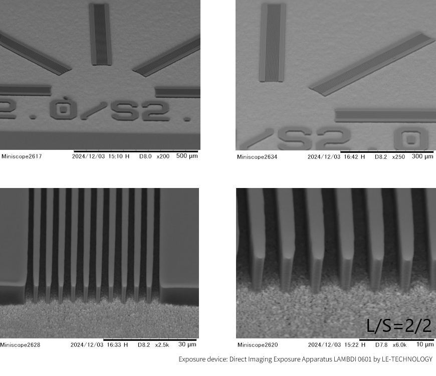 SEM and cross-sectional photographs using two-fluid development processing